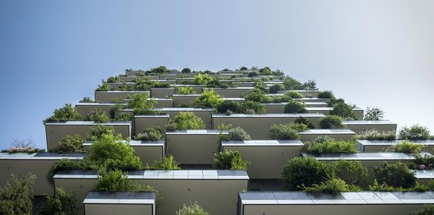 Natur- und Umweltschutz und eine echte sozial-ökologische Wende funktionieren nur dann, wenn alle Menschen mitgenommen und niemand zurückgelassen wird.