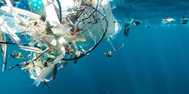 So eindeutig die Problemlage, so kompliziert sind tatsächliche Lösungen. In den 1950er-Jahren begann der Siegeszug des Plastik: In der Lebensmittelindustrie, im Spielzeug, in Wergzeug und Autos, überall findet es sich heute. Die Überreste der Produkte jedoch verbleiben in der Umwelt.