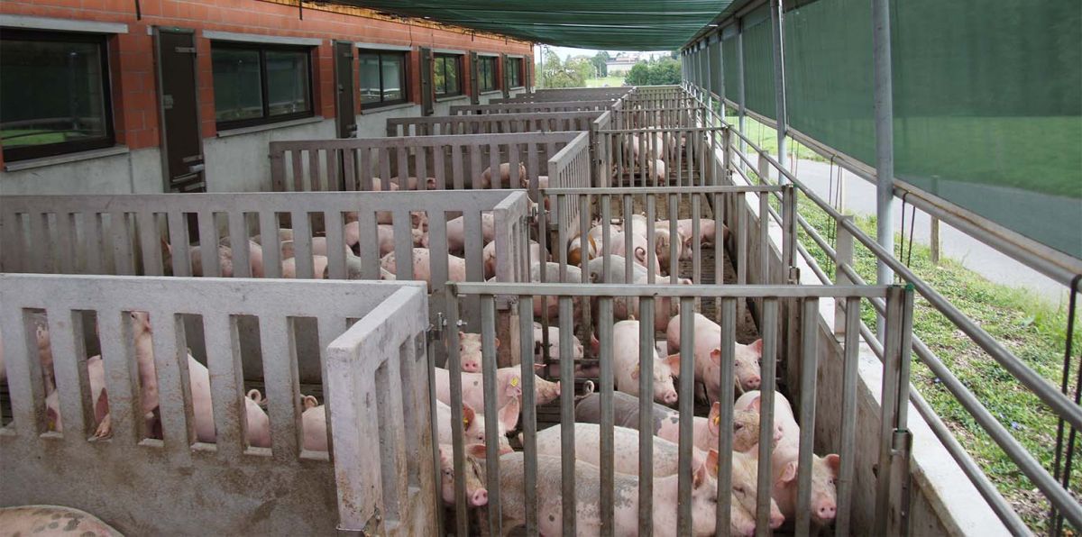 Die größte Zahl an geplanten Aufgaben verzeichnet dabei der Landkreis Cloppenburg mit 25 entsprechenden Ankündigungen. Die Zahl könnte aber weiter wachsen.