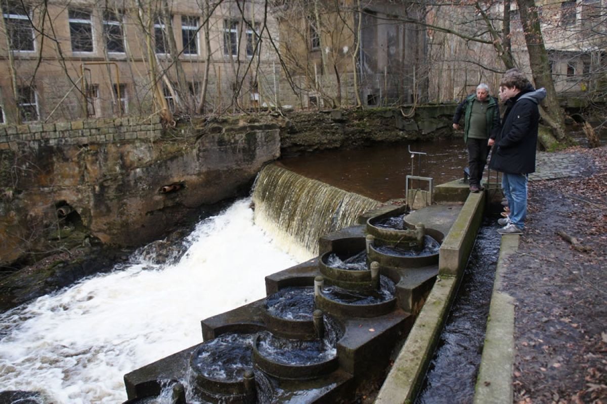 Fischaufstiegsanlage in dem Flüsschen Holtemme in der Ortslage von Wernigerode